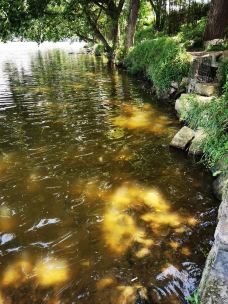 鼎湖峰-缙云-阿汤哥哥。