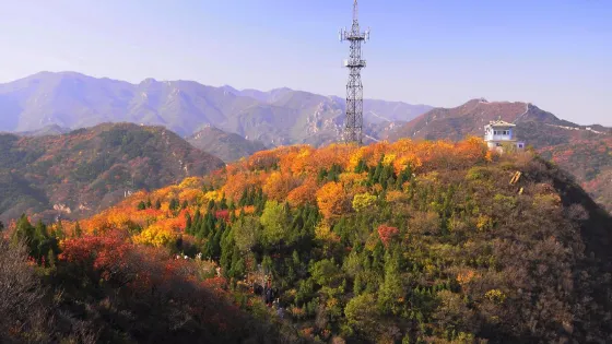 崎峯山國家森林公園