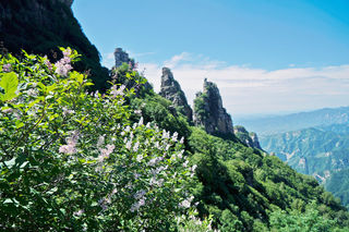 京西白石山, 赏丁香花,拥抱21摄氏度的夏清凉仙境