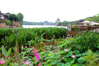 游山玩水赏花,初夏金坛休闲游。