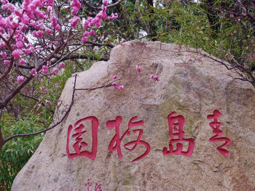 十梅庵风景区
