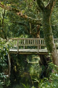 宋街-武夷山-Ddr-阿鹏