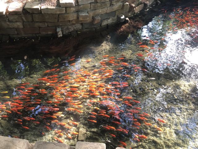 水磨沟风景区旅行图片 5