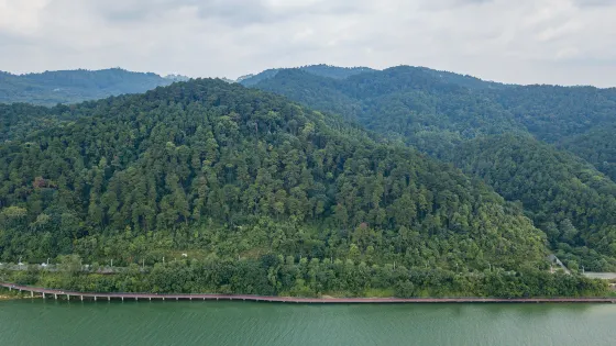 三門江國家森林公園