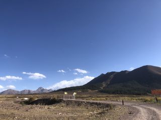 慕我河西景,追梦白云情之胡杨林嘉峪关山丹军马场