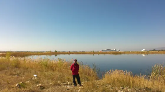 瀚海紅柳林