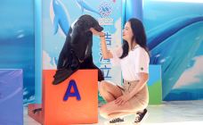 海滨城浩海立方海洋公园-成都-C-IMAGE