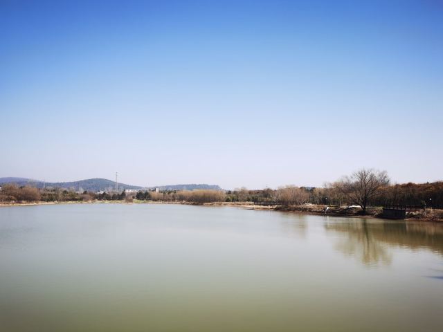 巢湖湿地旅行图片 2