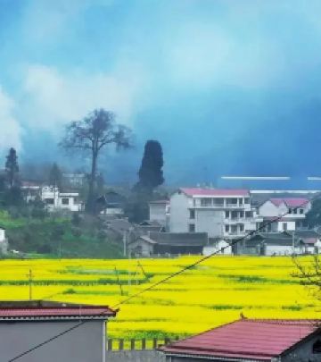 碧江区游记图文-乡游黔中·碧江区 克兰寨村丨穿越油菜花海，漫步春意古寨