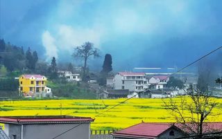 乡游黔中·碧江区 克兰寨村丨穿越油菜花海，漫步春意古寨