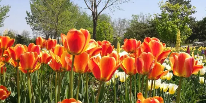 世界園藝展示區