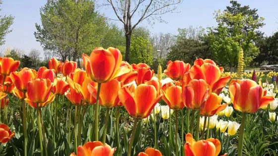 世界園藝展示區