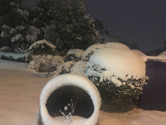 江南雪厚，去大桥公园堆雪人