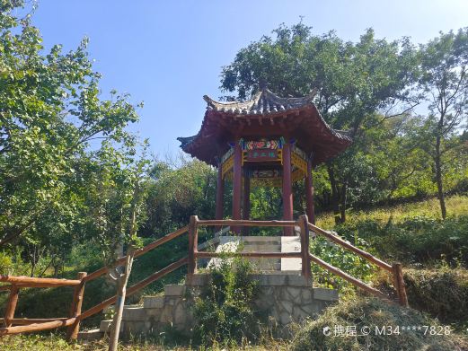 蟠龙山森林公园