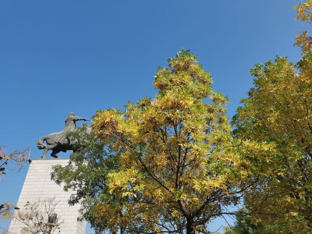 成吉思汗广场旅行图片 1