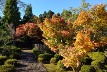 越前陶芸村景点图片