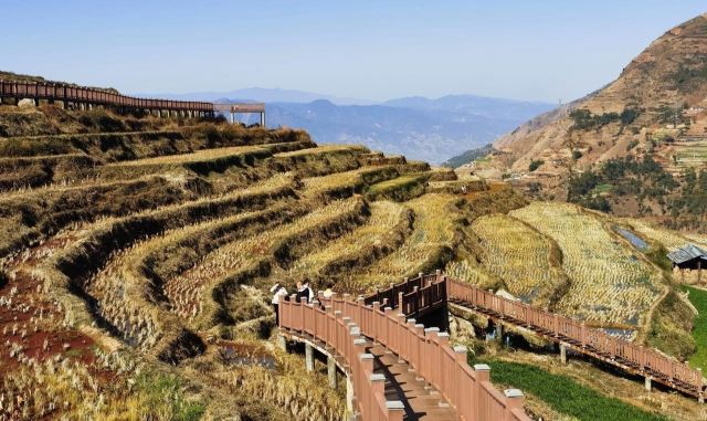 新山梯田旅行图片 2