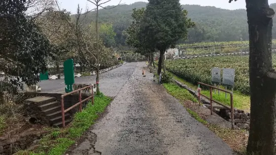 大雷山