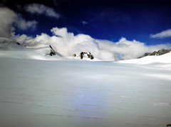 Waiho游记图片] 云游四海（1628）弗朗兹约瑟夫冰川