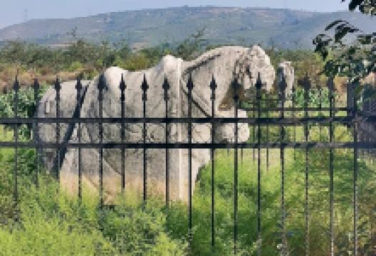 唐懿宗简陵景点图片