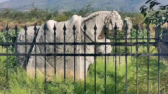 唐簡陵