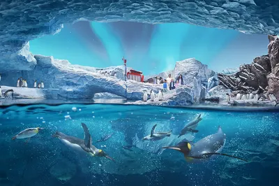 阿布扎比海洋世界