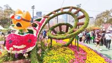 香港花卉展覽-香港