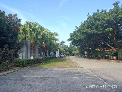剑南春森林公园