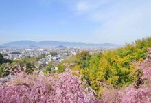 大神神社景点图片