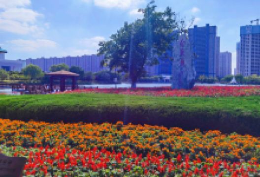白天鹅公园景点图片