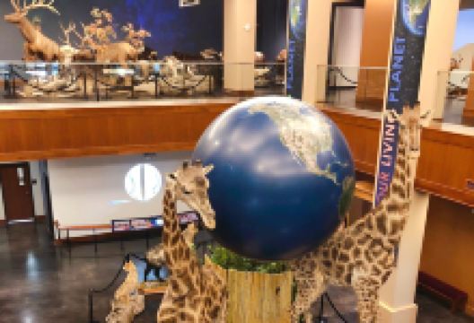 毕恩生命科学博物馆景点图片