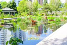 丹佛植物园景点图片