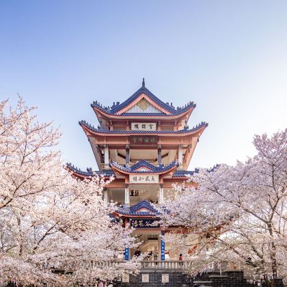 无锡+清名桥古运河景区3日2晚私家团