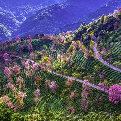 腾冲+瑞丽+芒市+大理市+丽江8日7晚跟团游