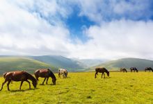 橡皮山景点图片