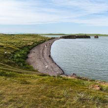 新巴尔虎右旗图片