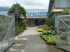 宝岛花园-花莲-流浪的心676