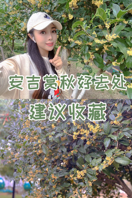 安吉赏秋，这五个地方就够了