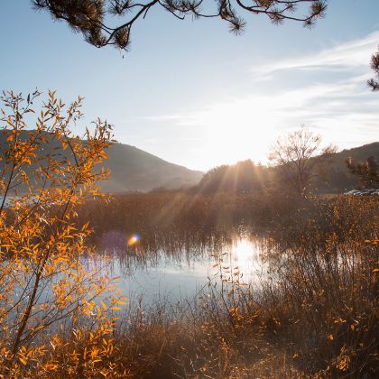 贺州2日1晚私家团