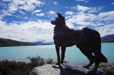 The Sheepdog Memorial-特卡波湖