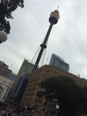 悉尼小众风景-街边随手拍