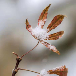 乌兰浩特站/五一广场游记图文-一次美丽的邂逅，乌兰浩特博源蓝海御华大饭店