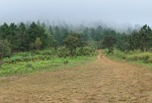 Garrotxa Volcanic Zone Natural Park景点图片