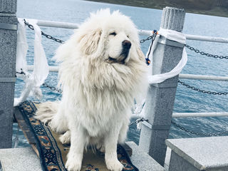 世界第三极痛并快乐着（下）——遇见圣湖仙境