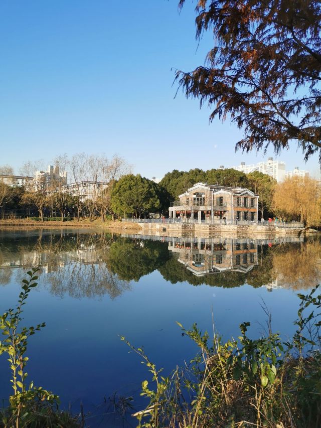 金桥公园旅行图片 6