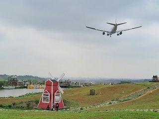 空港花田一日游