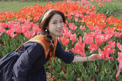 下陈街道游记图片] 椒江：郁金香刷屏