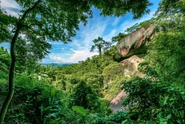 4-Day Yunfu Tour: The historical charm of Shuidong Ancient Village, the natural beauty of Yuetianxia Ecological Resort