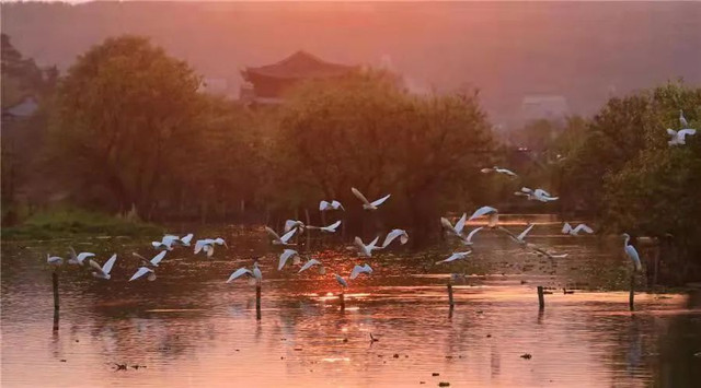 浮世沧桑六百年 徜徉和顺慢时光