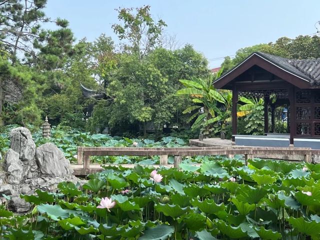 古华园旅行图片 2